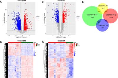 Identification of common signature genes and pathways underlying the pathogenesis association between nonalcoholic fatty liver disease and heart failure